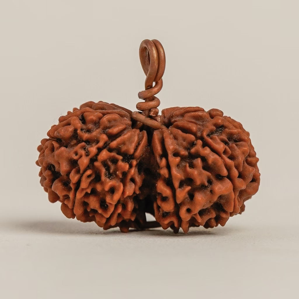 Isha Gauri-Shankar Rudraksha