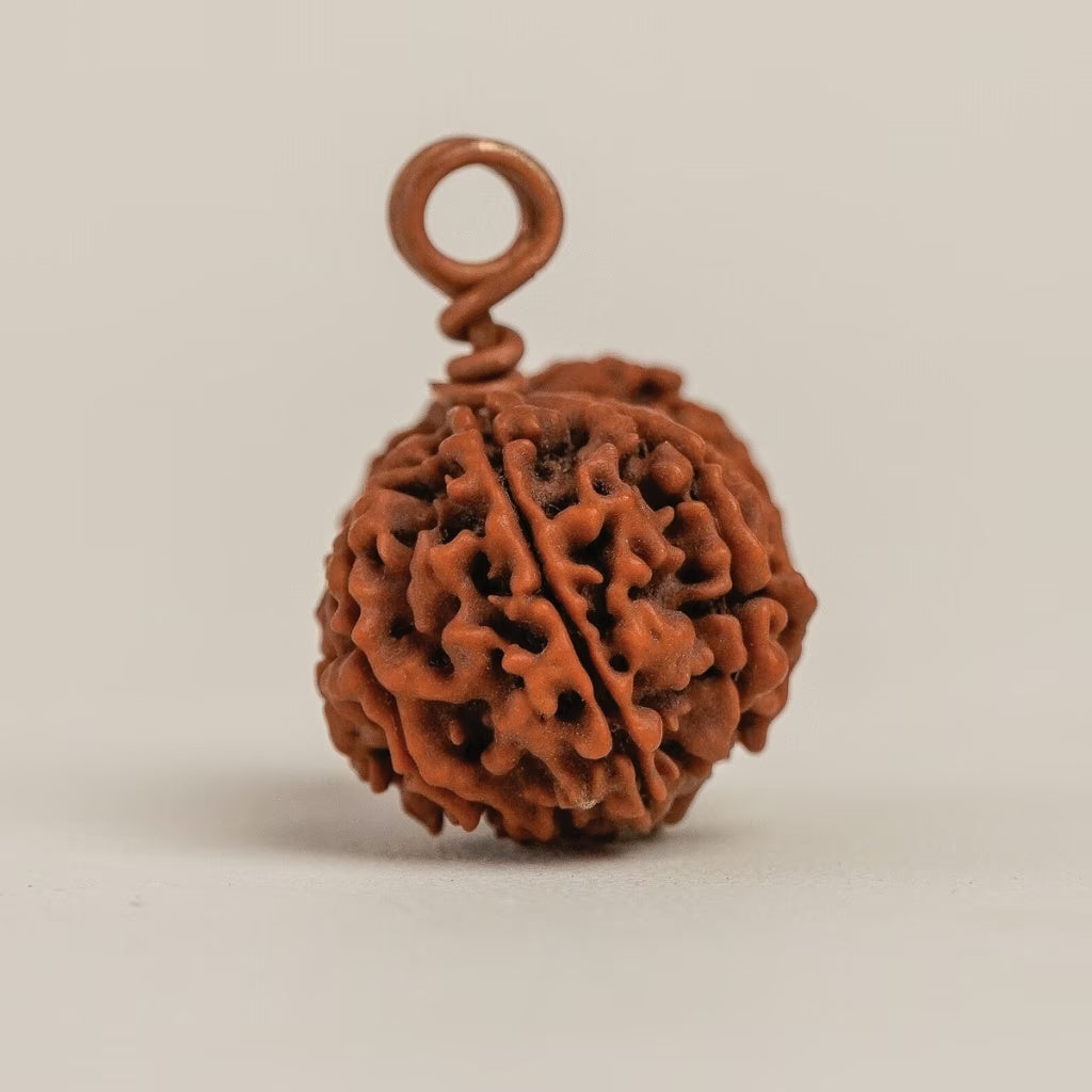 Isha Gauri-Shankar Rudraksha