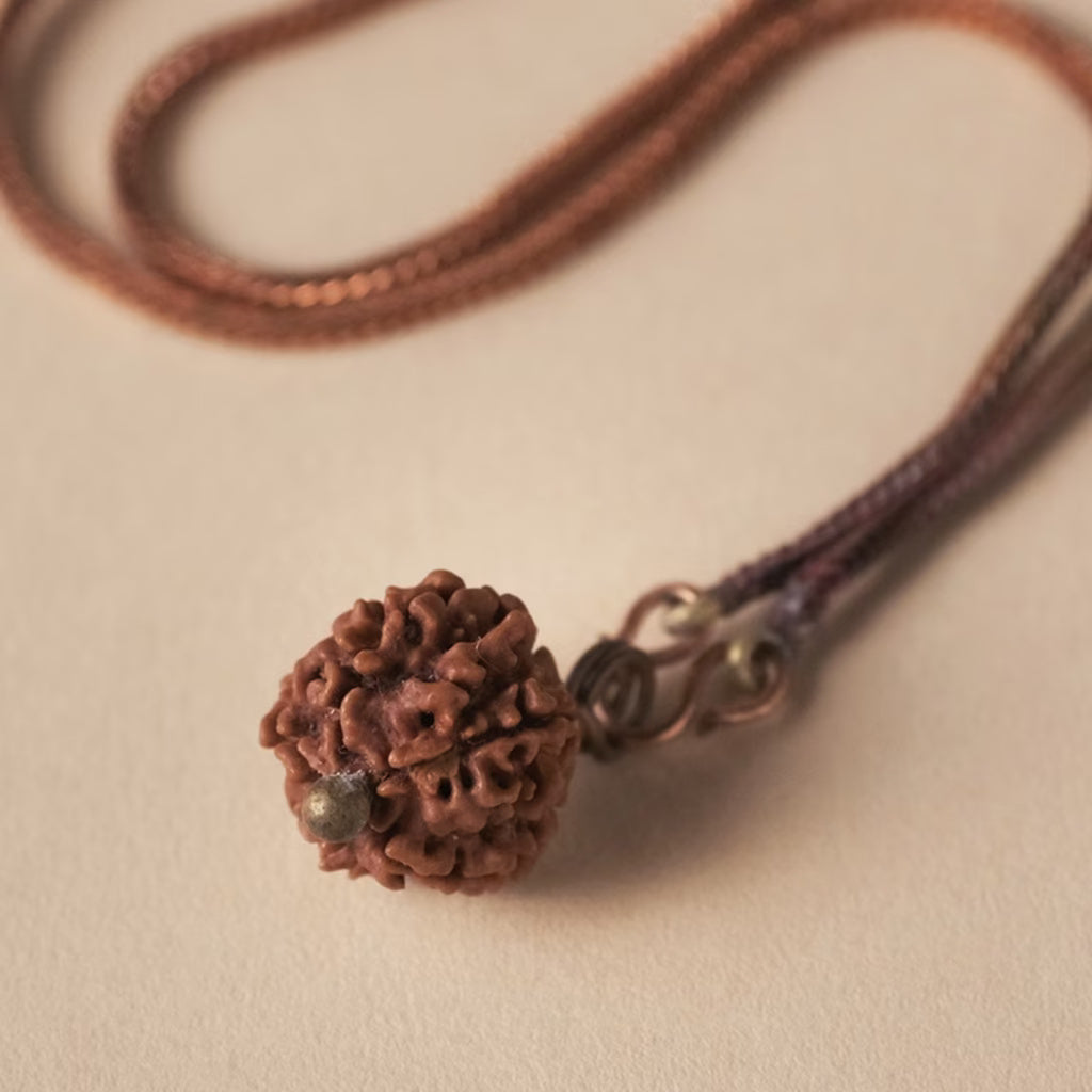 Adiyogi Rudraksha with copper chain. Panchamukhi (five faced) Rudraksha bead