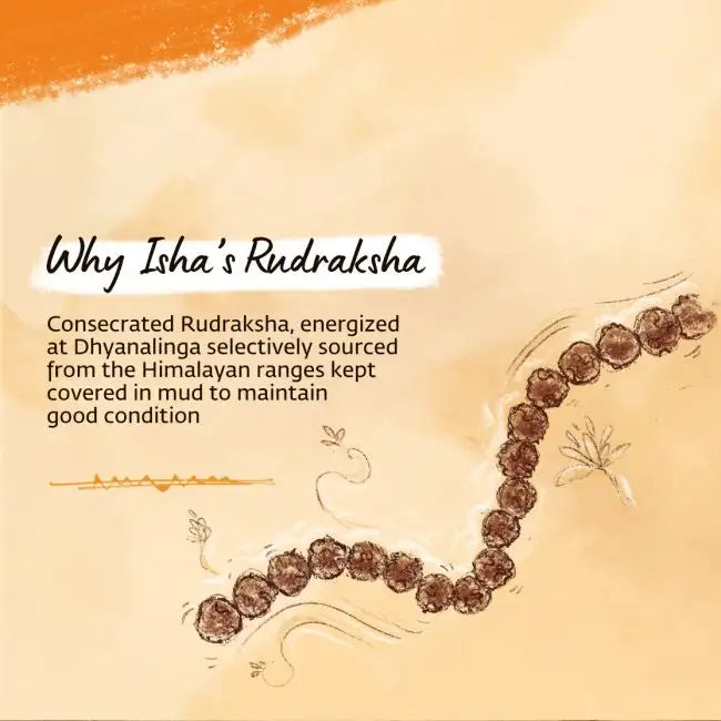 Authentic Isha Panchamukhi (five-faced) Rudraksha Mala. Your cocoon of energy (5.5 mm)