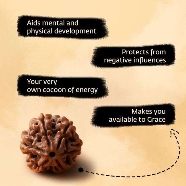 Authentic Isha Shanmukhi (six faced) Rudraksha Bead. Single bead for children below 14 years of age.