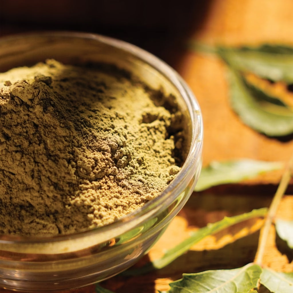 Neem Powder, 100 gm