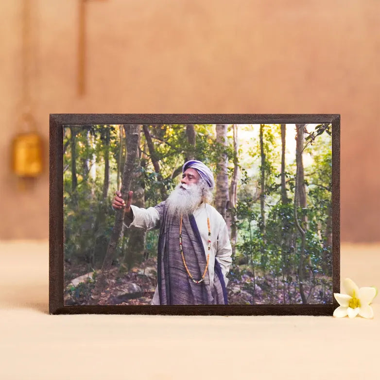 Sadhguru Photo 4x6