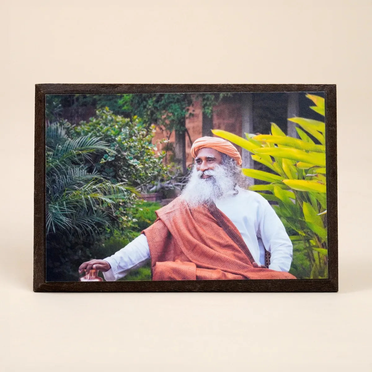 Sadhguru Photo (6x4)