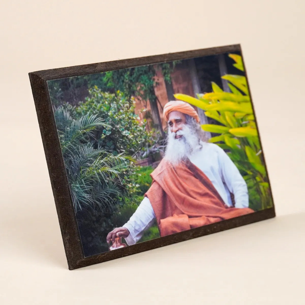 Sadhguru Photo (6x4)