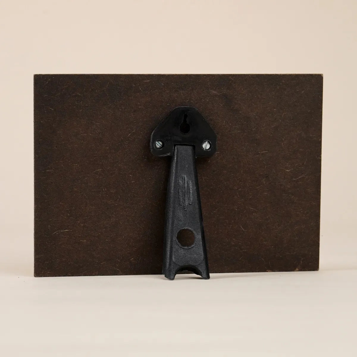 Sadhguru Photo (6x4)